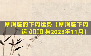 摩羯座的下周运势（摩羯座下周运 💐 势2023年11月）